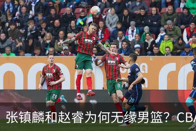 张镇麟和赵睿为何无缘男篮？CBA名记分析，道出2个原因