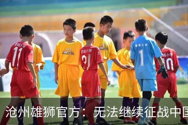 沧州雄狮官方：无法继续征战中国足球职业联赛