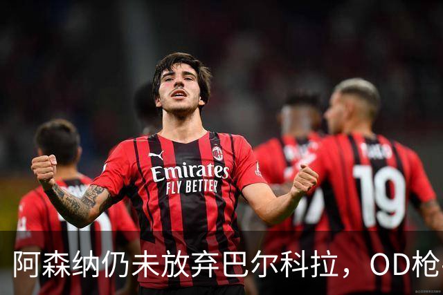 阿森纳仍未放弃巴尔科拉，OD枪手锋线补强计划迎来新目标